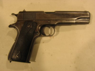 Shaw Colt 058.JPG