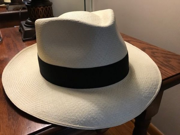 Panama Hat 1.jpg