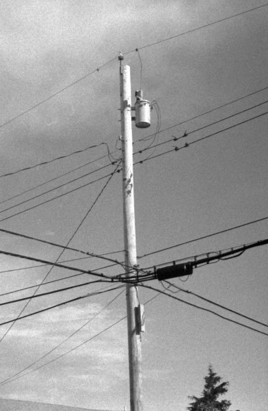 WirePole.jpg