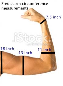 Fred's arm circumference measurements.jpg