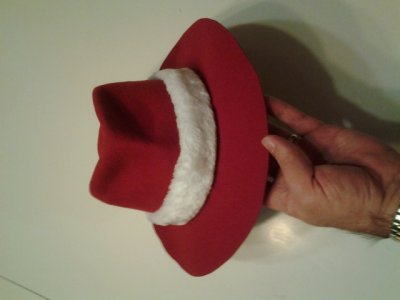 Santa_Hat_9.jpg