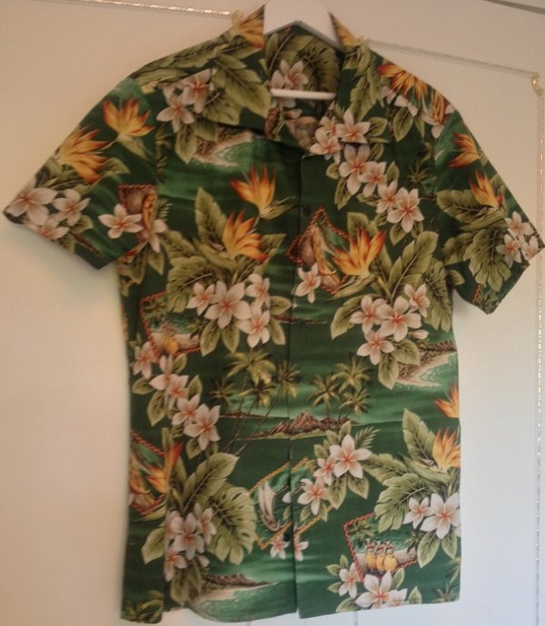 two tone shirt 006.JPG
