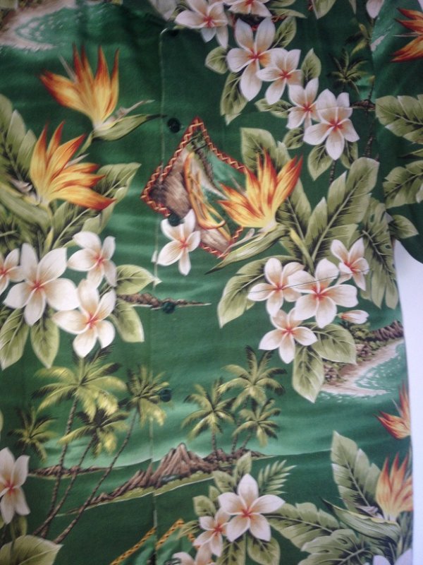 two tone shirt 007.JPG
