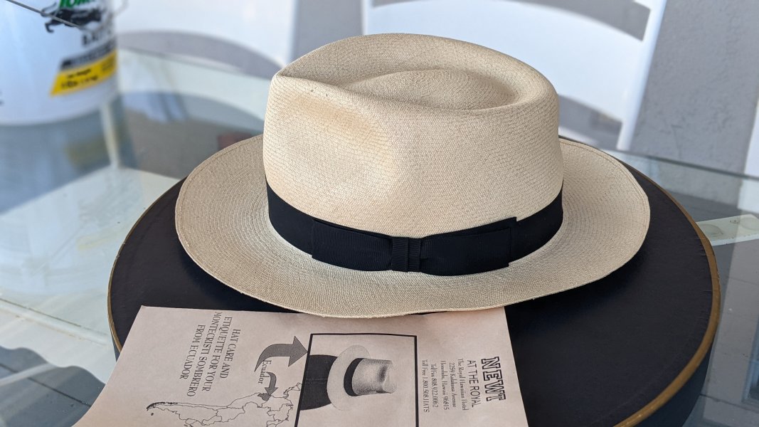 Newt Panama hat Oct 22 just hat.jpg