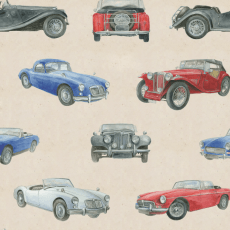 mg cars.png