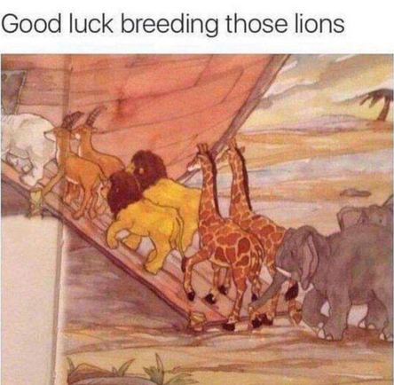 breeding lions.png