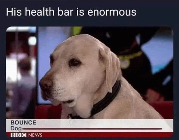 health bar.jpg