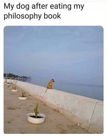 dog philosopher.jpg