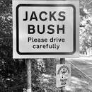 jacks bush.jpg