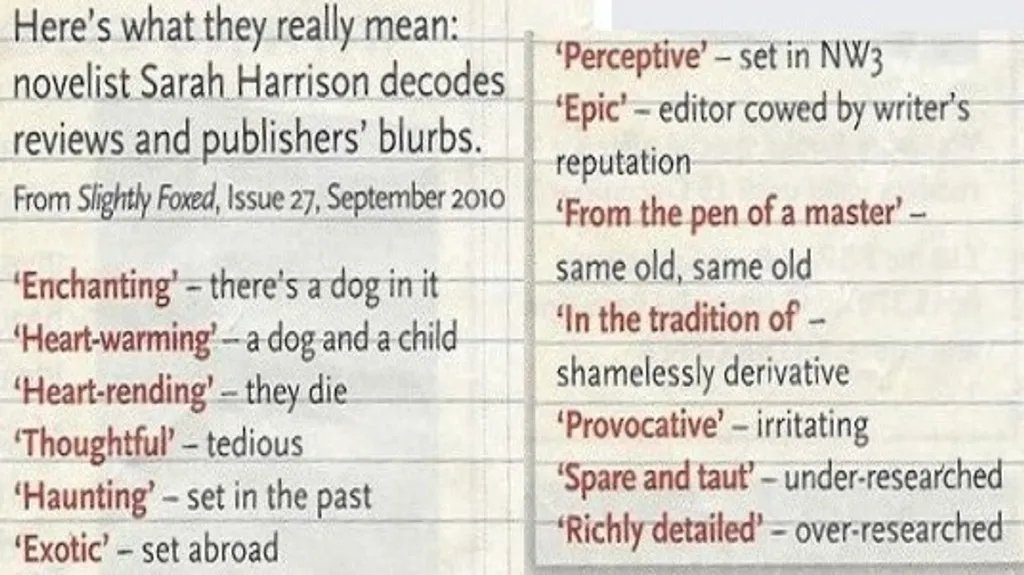 decoding book blurbs & reviews.jpg