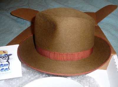 aHat1.jpg