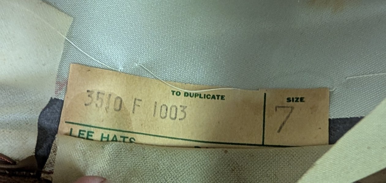 PXL_20250617_164052247.jpg