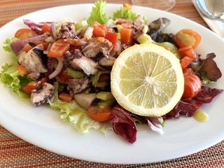 Octopus6.jpg