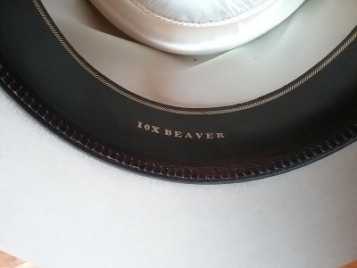 20170727_150508.jpg