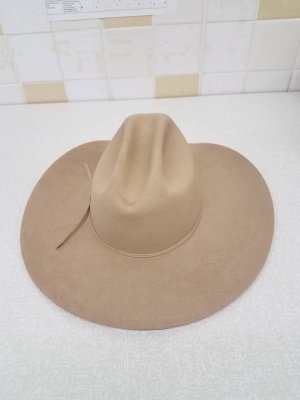 Stetson Hat 2.jpg