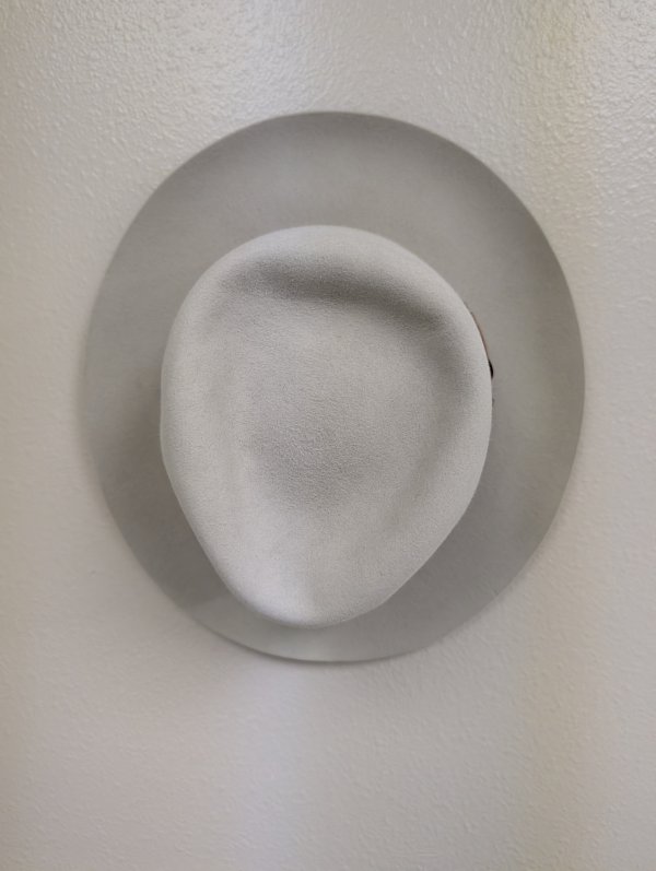 PXL_20251022_124713717.jpg