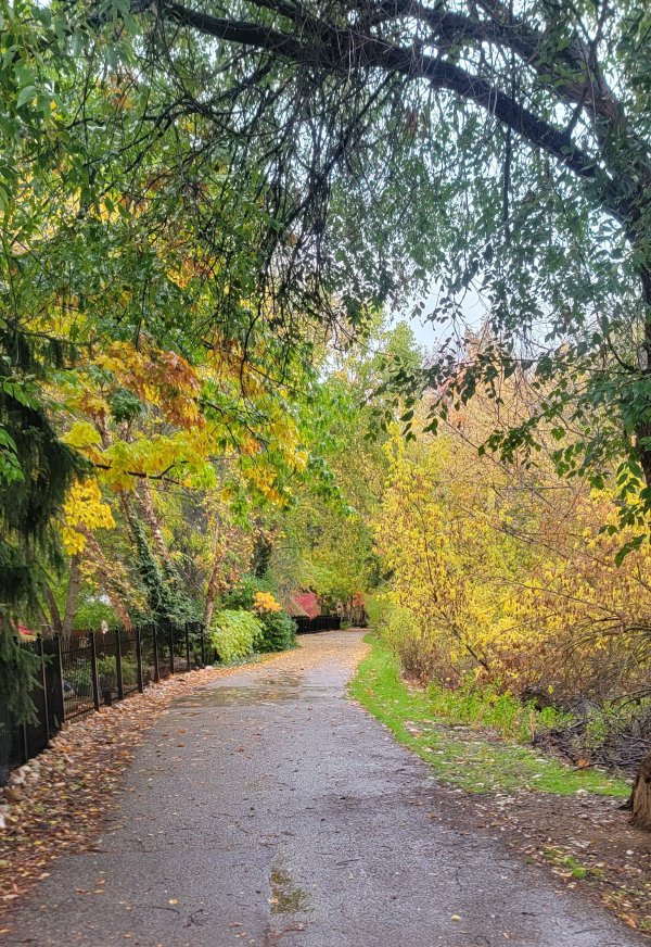 Greenbelt NW of Glenwood.jpg