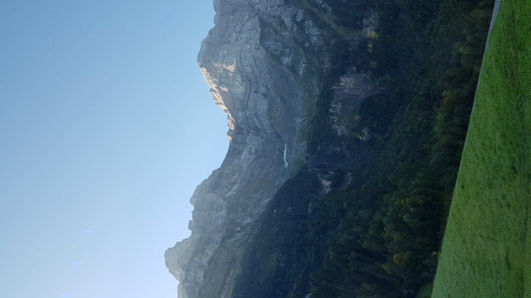 20250919_091341.jpg