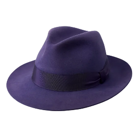 purple fedora.png