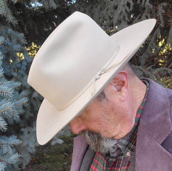 Stetson CB 7X BOP daily h.jpg