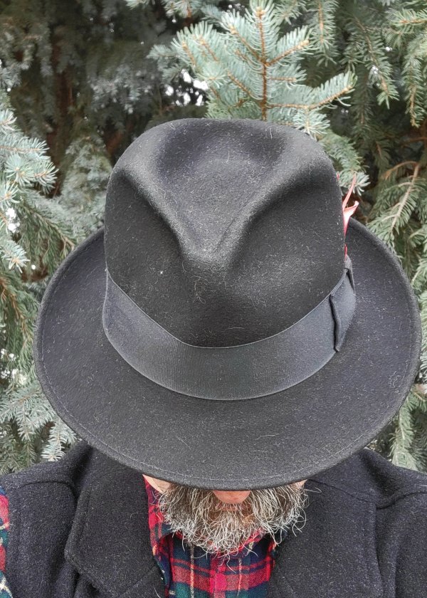 Bee The Ascot 3.jpg Bee The Ascot 3.jpg
