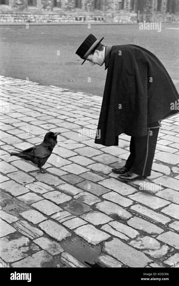 yeoman-warder-tower-of-london-tower-hill-london-a-beefeater-bends-down-to-address-KCECRA.jpg