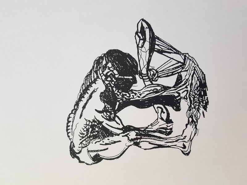 20250501_114734.jpg