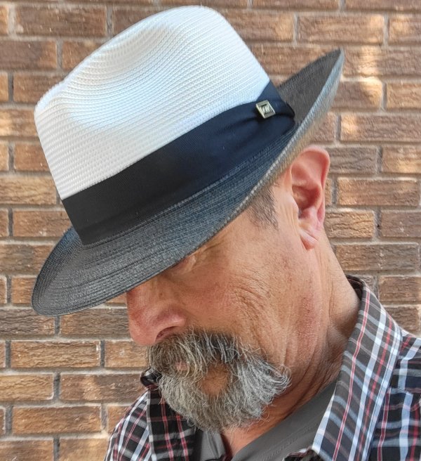 Dobbs two-tone daily d.jpg
