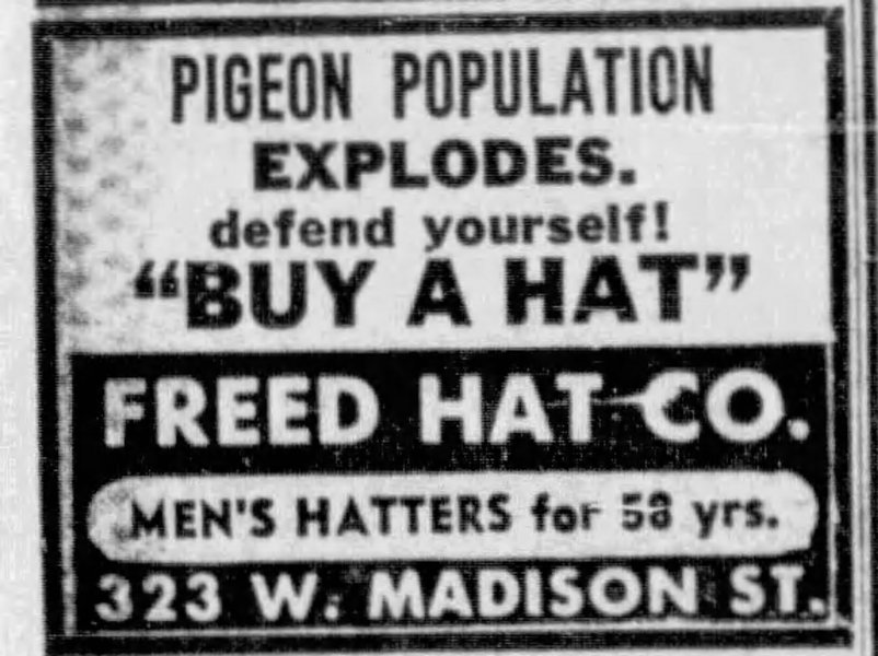 Chicago_Tribune_1971_11_23_4.jpg