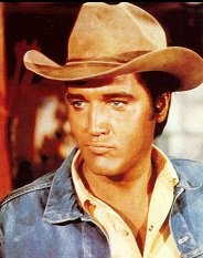 elvis3.jpg