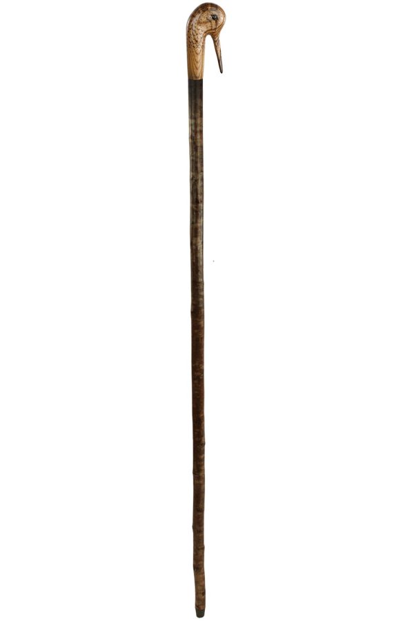 woodcock1.jpg
