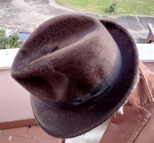 Marron Guerra Pelo B.jpg