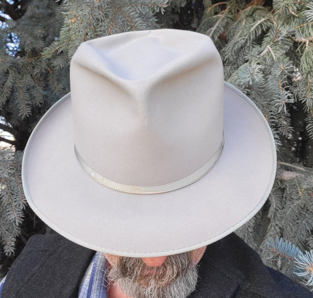 Stetson RD Strat daily e.jpg