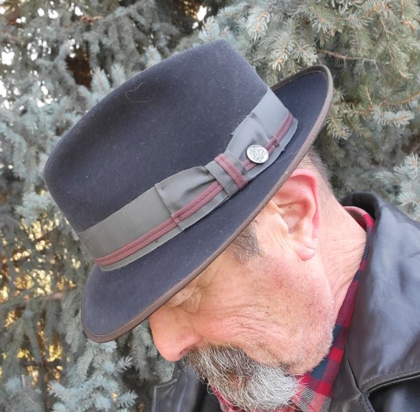 Stetson Tehachapi Loop daily b.jpg