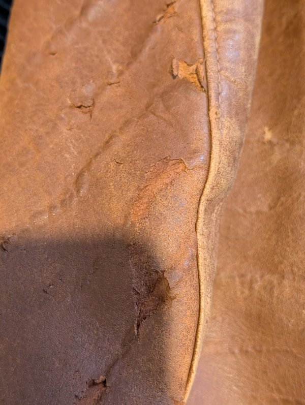 PXL_20260214_182621580.RAW-01.COVER.jpg