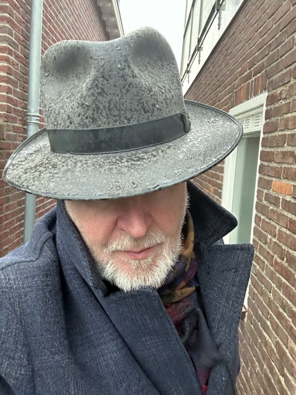 wolf steur.jpeg