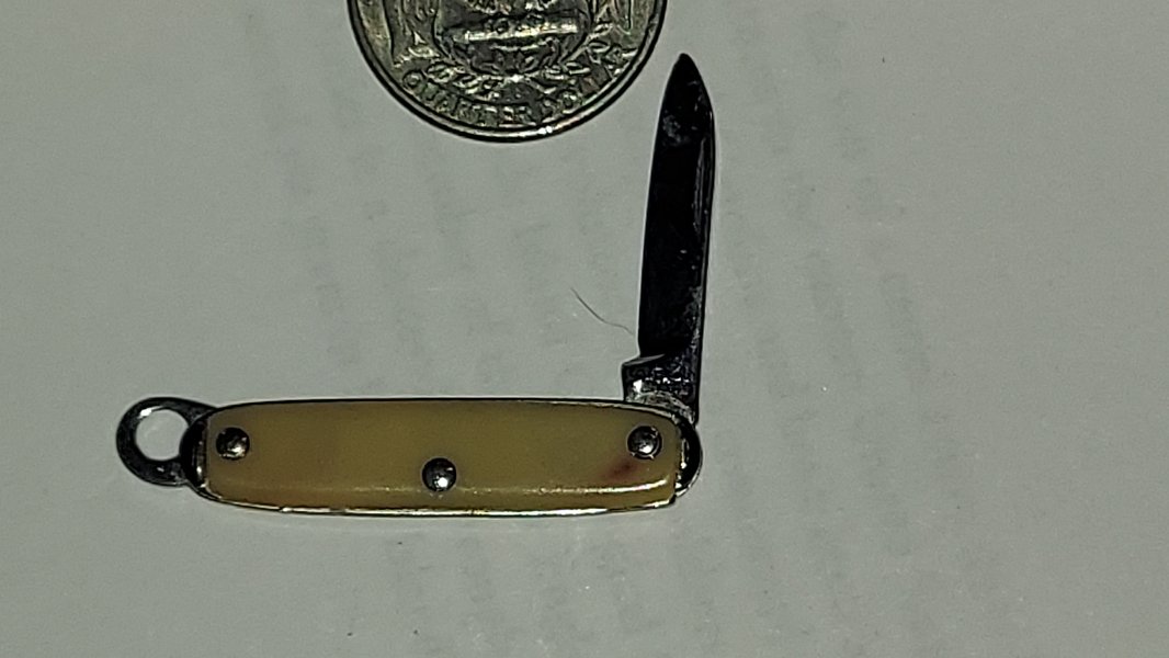 20260302_213131.jpg