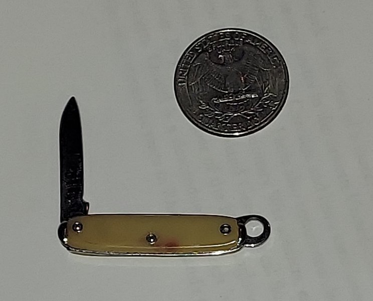20260302_213101.jpg