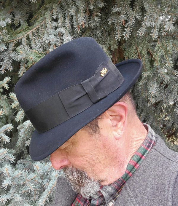 Dobbs Golden Coach Veluna daily e.jpg