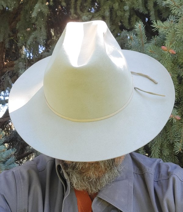 Resistol Ranger daily i.jpg
