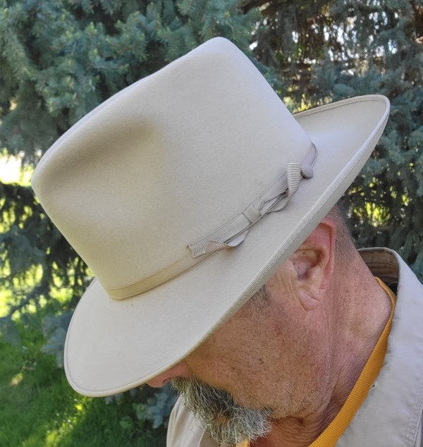 Hoyt Demon Hanover daily f.jpg
