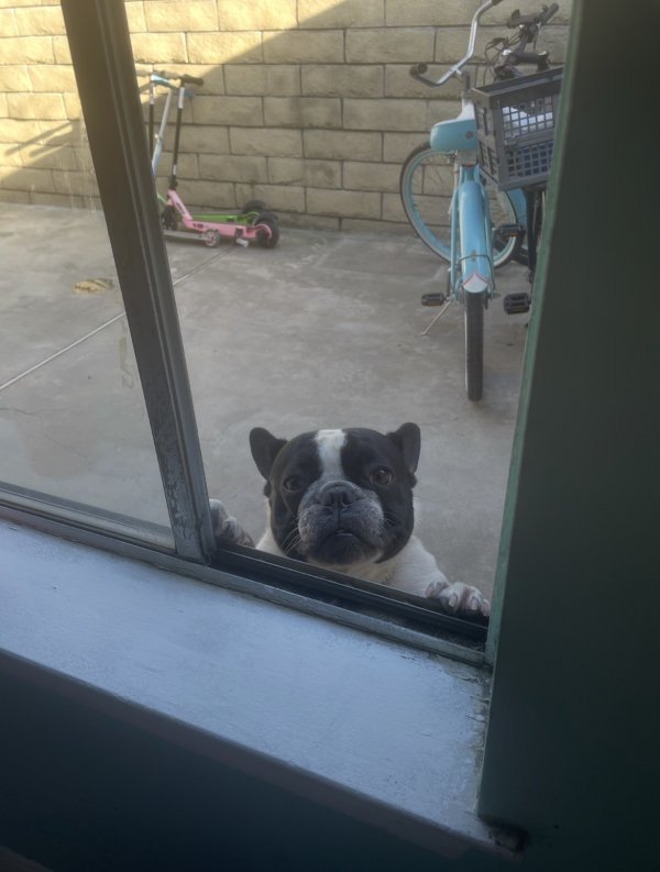 IMG_0408.jpeg