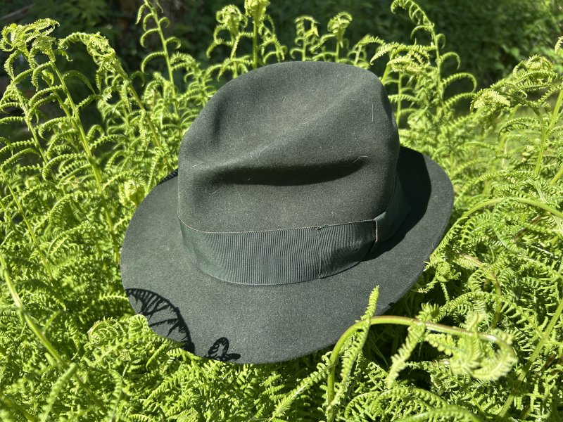 image1.jpeg