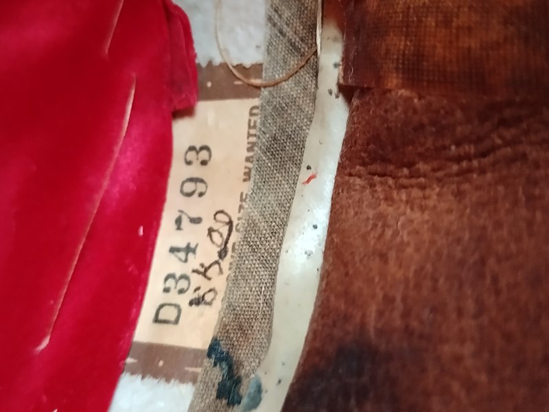IMG_20260610_161131_HDR.jpg