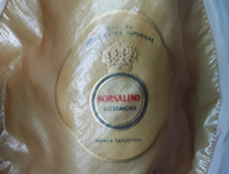 20260611_195526.jpg