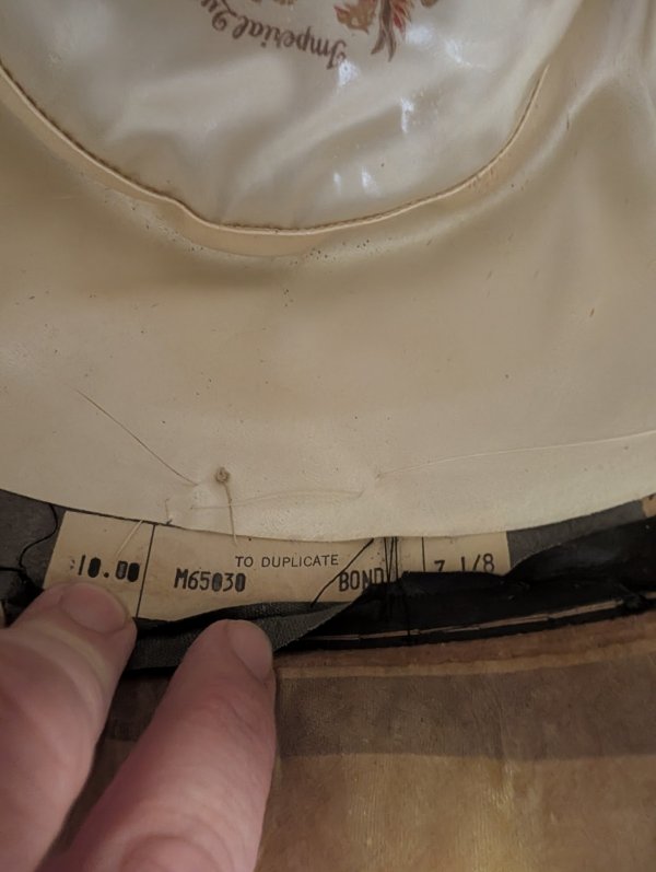 PXL_20260720_171854421.jpg