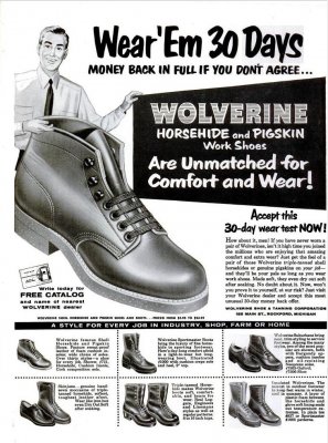 wolverine_1956_2.JPG