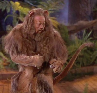 The-Cowardly-Lion-the-wizard-of-oz-6449515-496-475.jpg