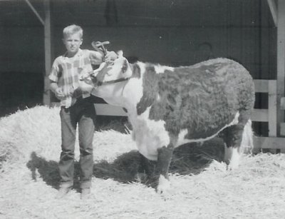 1950s-steer.jpg