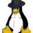 Der_Pinguin